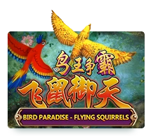 Bird Paradise