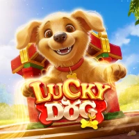Lucky Dog